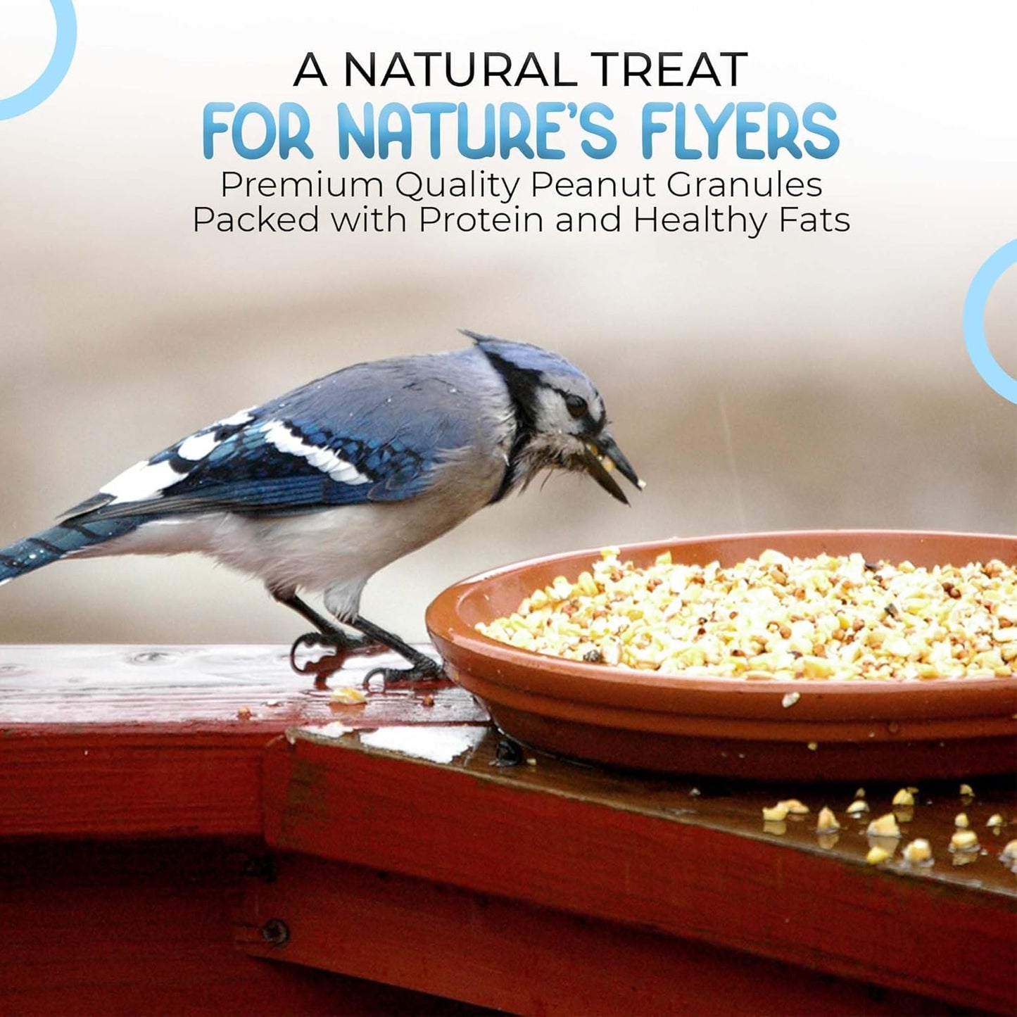 Direct Deals 123 High-Energy Peanut Granules for Wild Birds