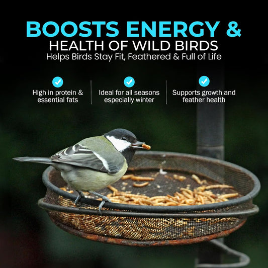 Direct Deals 123 High-Energy Calci Worms for Wild Birds