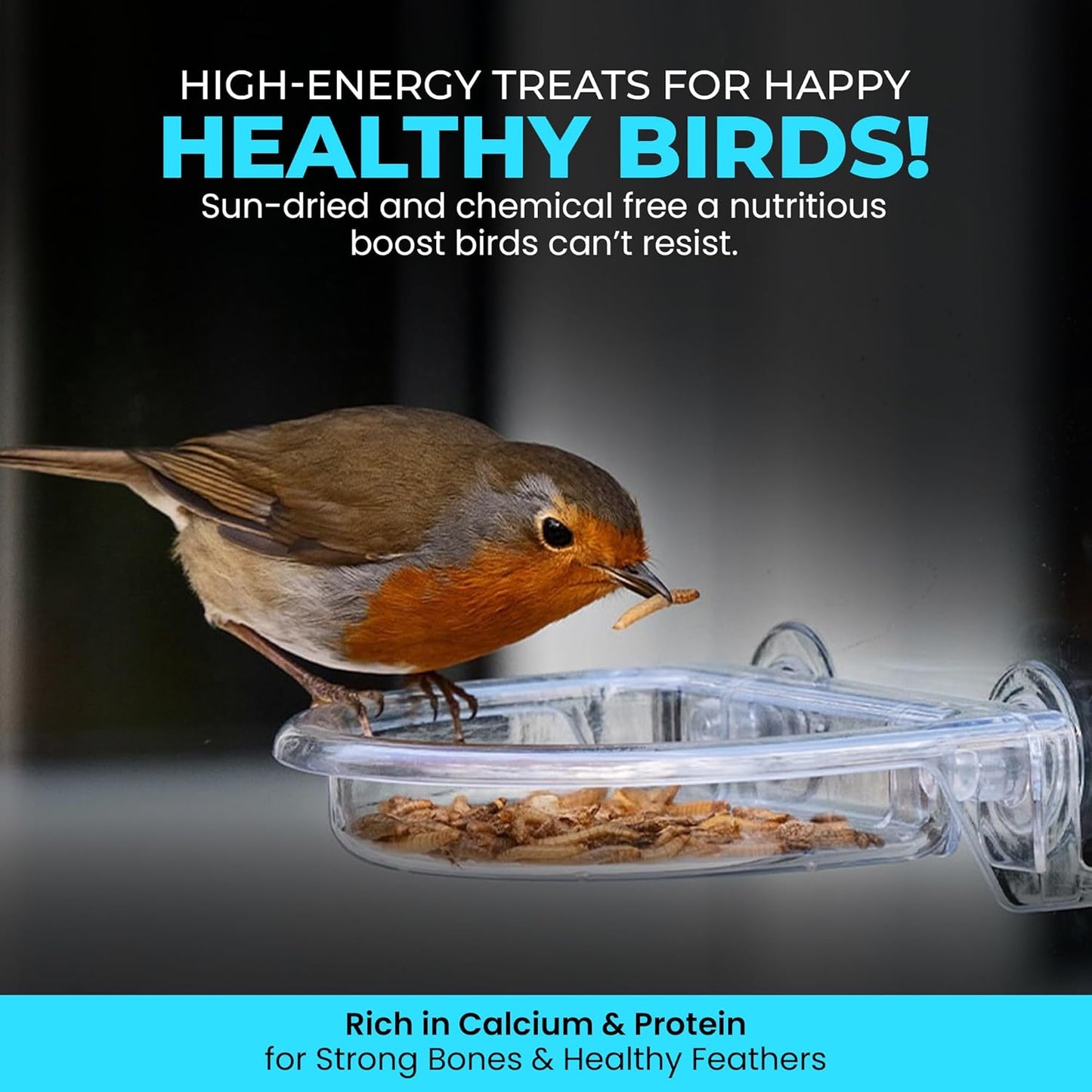 Direct Deals 123 High-Energy Calci Worms for Wild Birds