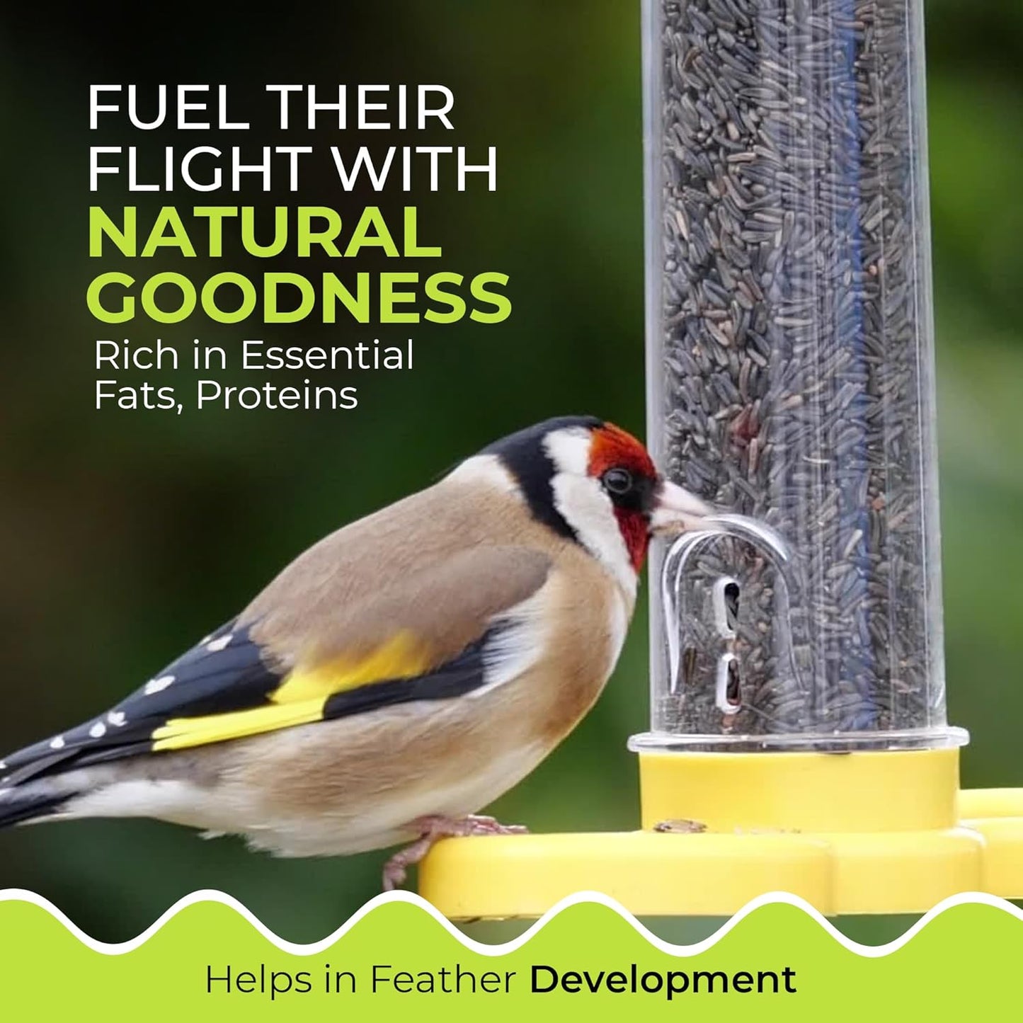 Direct Deals 123 High-Energy Niger Seeds for Wild Birds