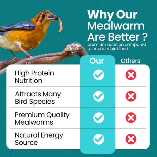 2KG BAG Direct Deals 123 High-Energy Meal Worms for Wild Birds