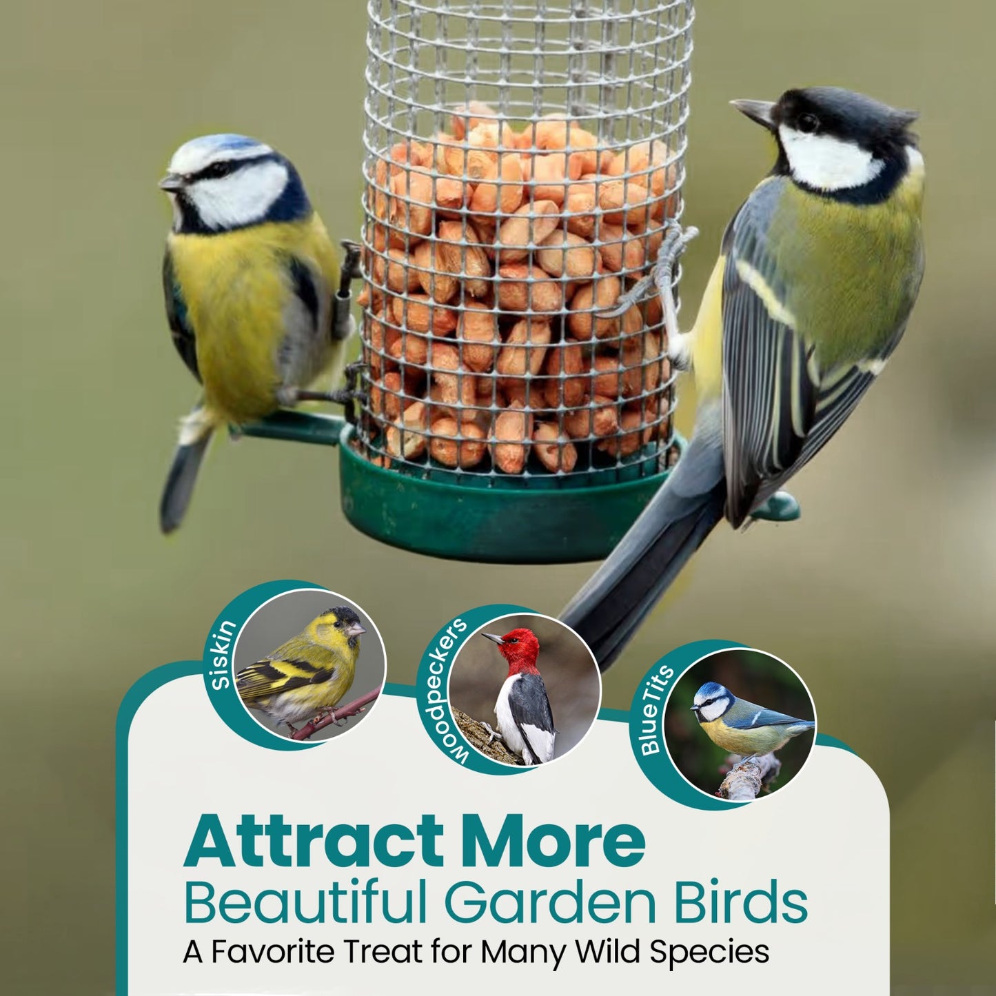 Direct Deals 123 High-Energy Peanuts Whole for Wild Birds