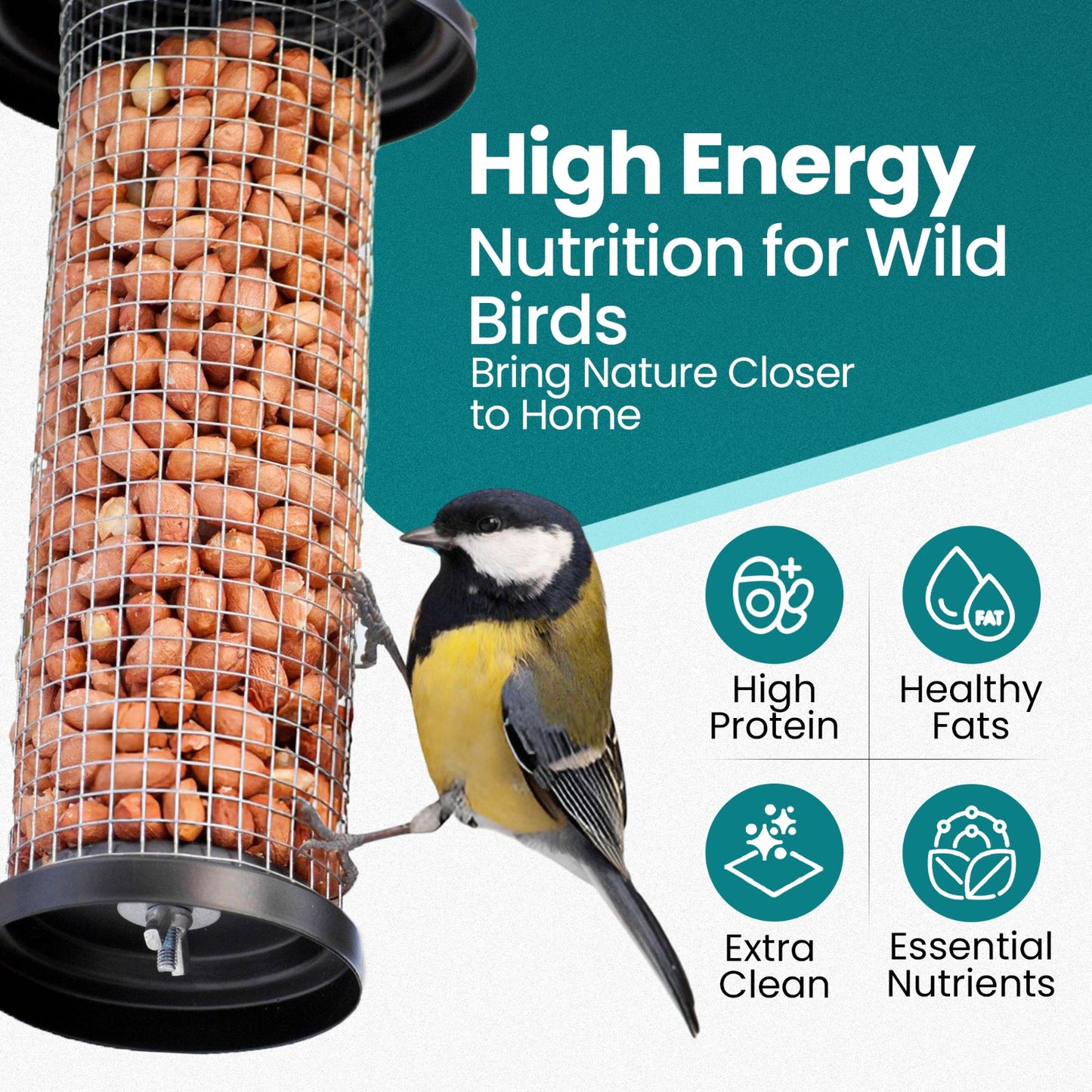 Direct Deals 123 High-Energy Peanuts Whole for Wild Birds