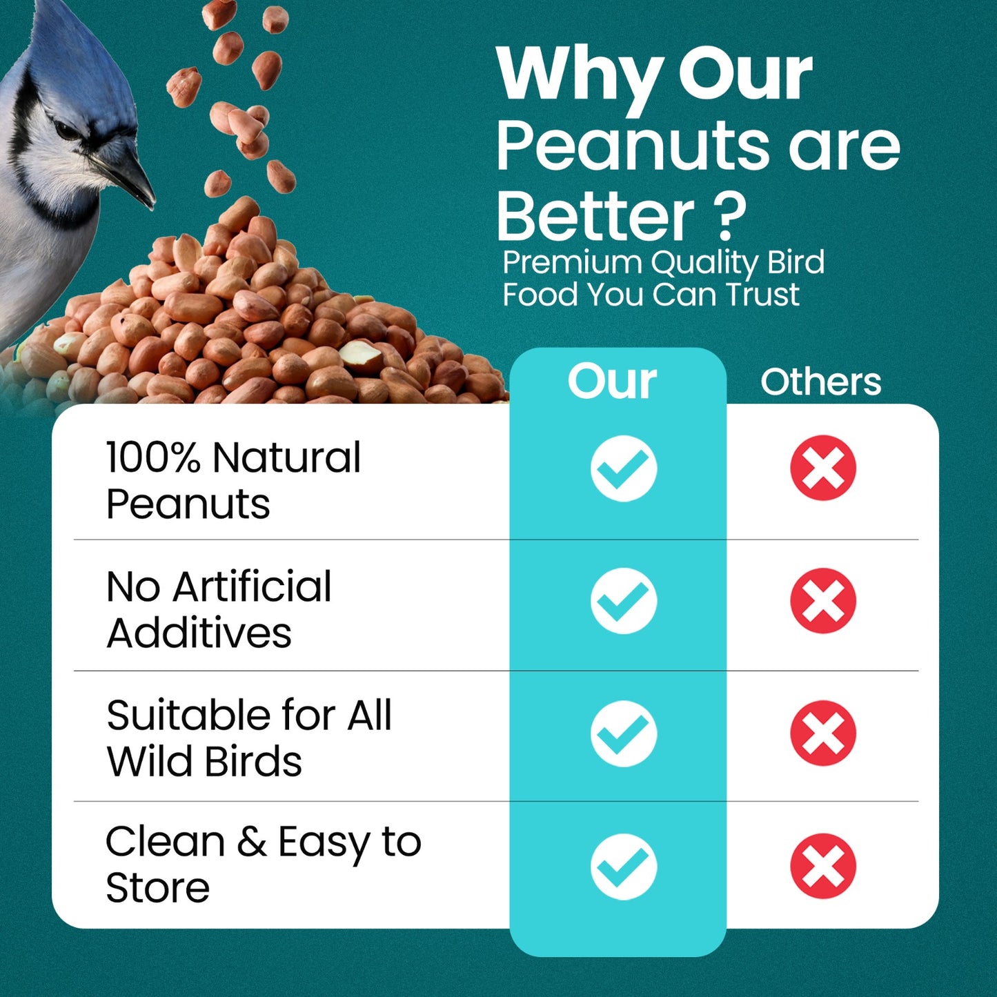 Direct Deals 123 High-Energy Peanuts Whole for Wild Birds