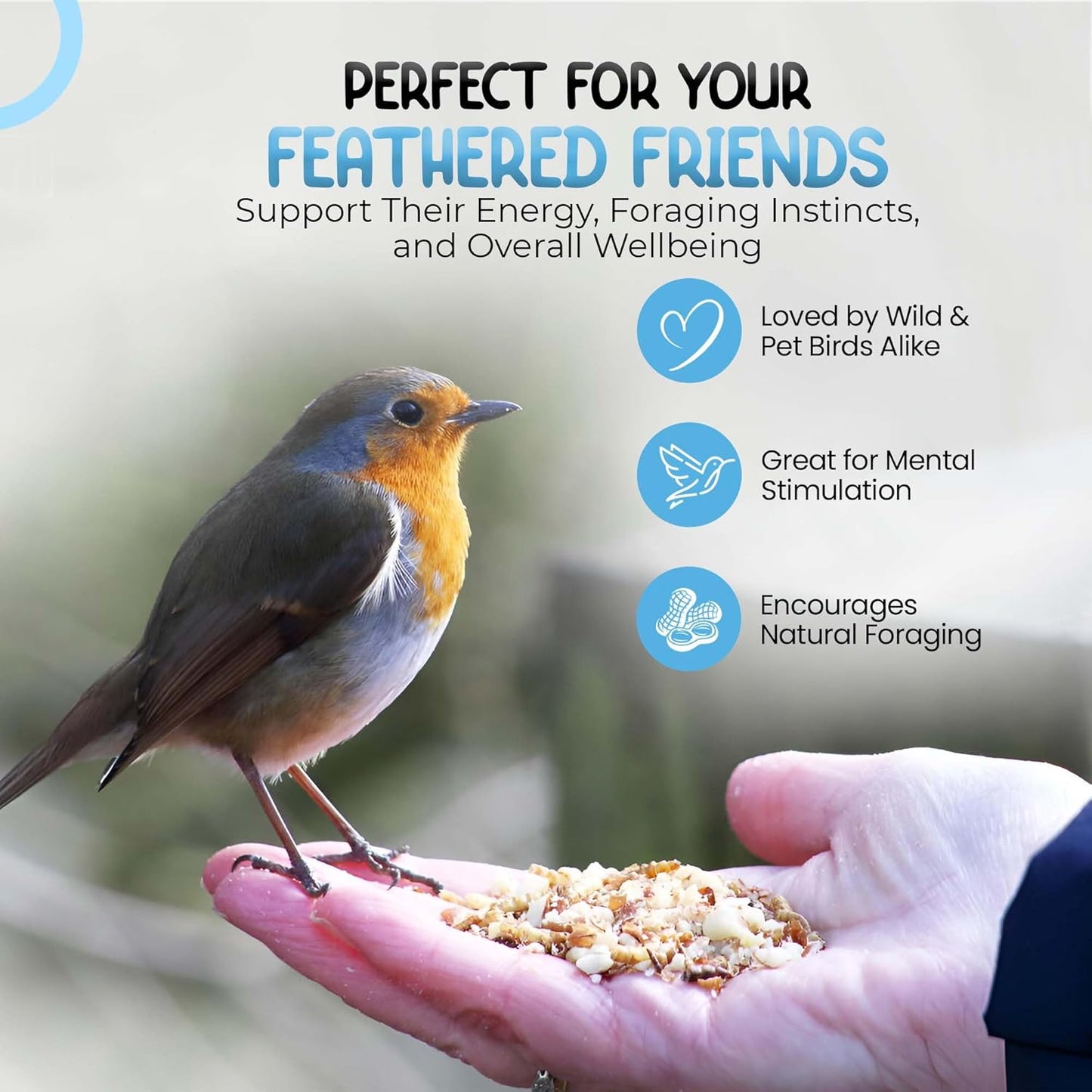 Direct Deals 123 High-Energy Peanut Granules for Wild Birds