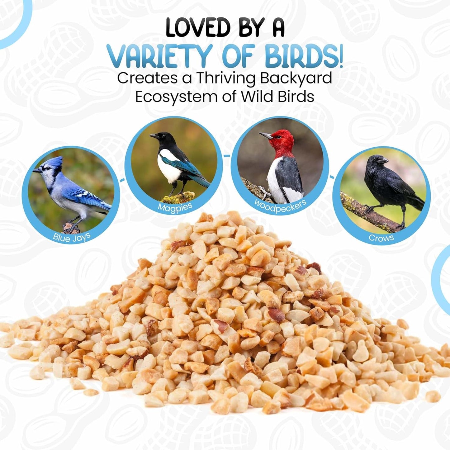 Direct Deals 123 High-Energy Peanut Granules for Wild Birds