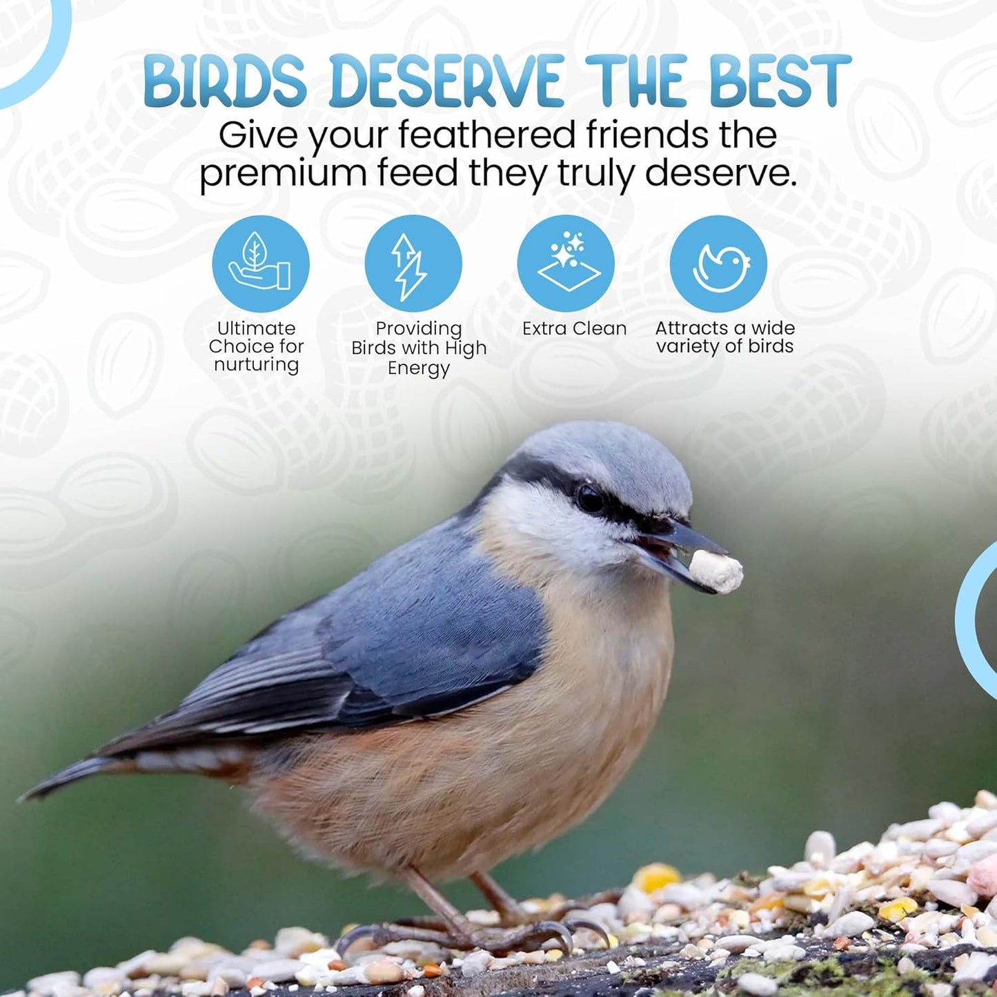 Direct Deals 123 High-Energy Peanut Granules for Wild Birds