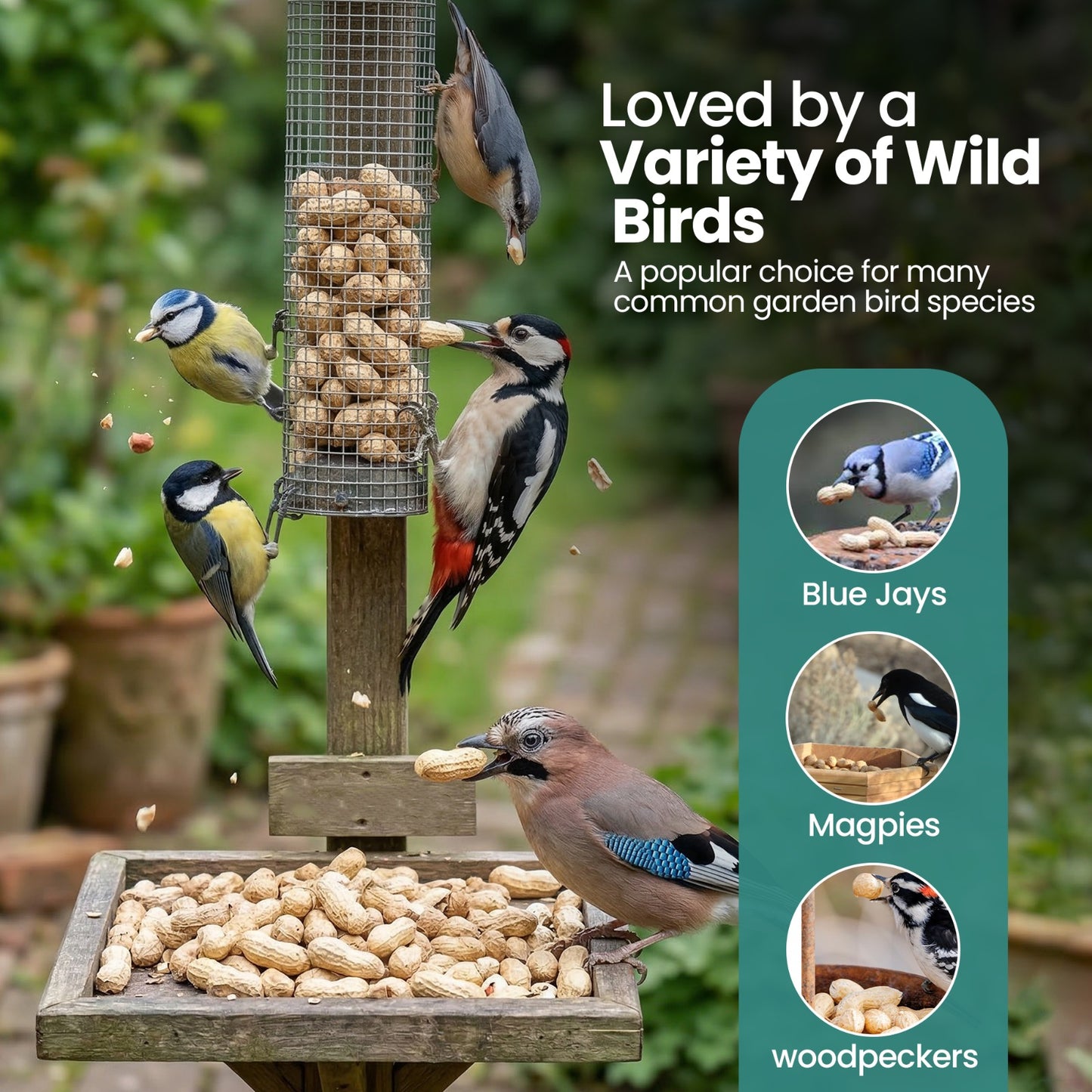 Direct Deals 123 High-Energy Peanuts In Shell For Wild Birds