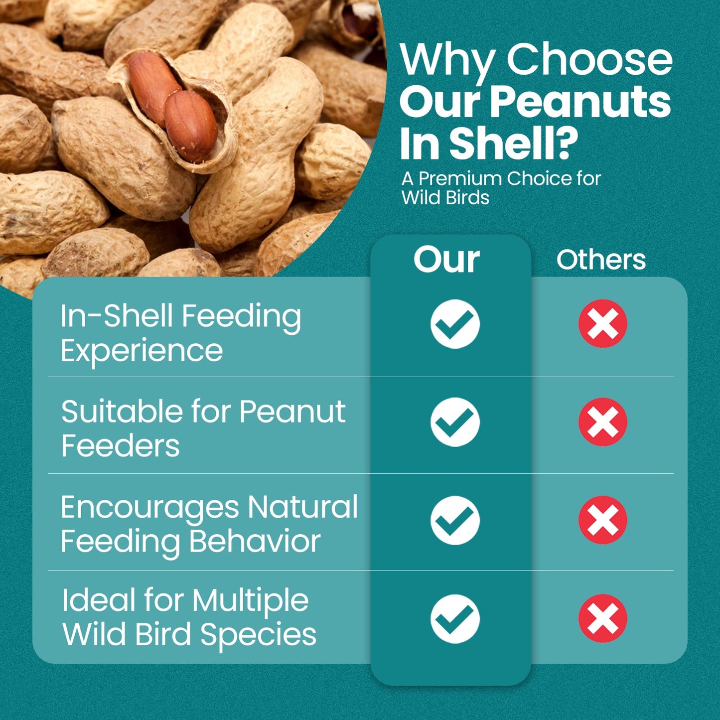 Direct Deals 123 High-Energy Peanuts In Shell For Wild Birds