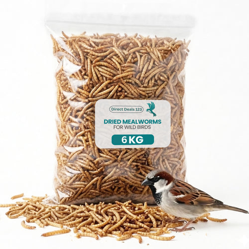 6KG BAG Direct Deals 123 High-Energy Meal Worms for Wild Birds