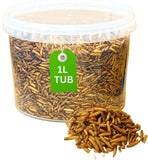 Direct Deals 123 High-Energy Calci Worms for Wild Birds