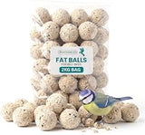 2 KG Fat Balls for Wild Birds Food
