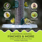 Direct Deals 123 High-Energy Niger Seeds for Wild Birds