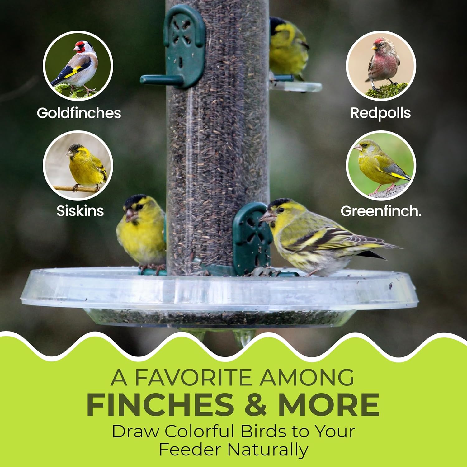 Direct Deals 123 High-Energy Niger Seeds for Wild Birds