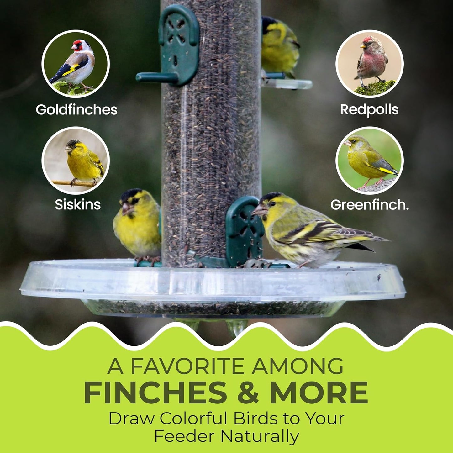 Direct Deals 123 High-Energy Niger Seeds for Wild Birds