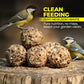 Direct Deals 123 High-Energy Fat Balls for Wild Birds