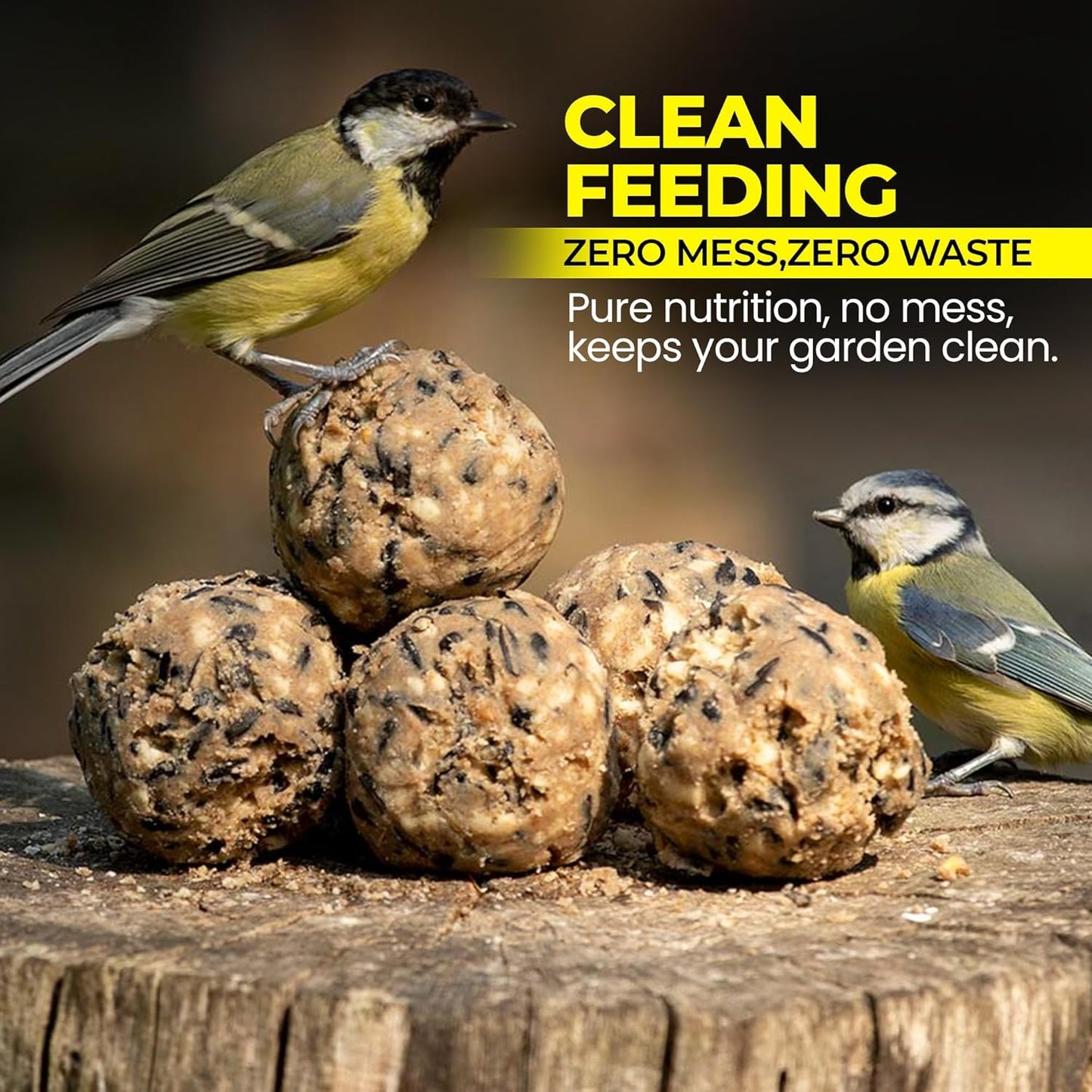 Direct Deals 123 High-Energy Fat Balls for Wild Birds