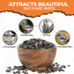 Direct Deals 123 High-Energy Black Sunflower Seeds for Wild Birds