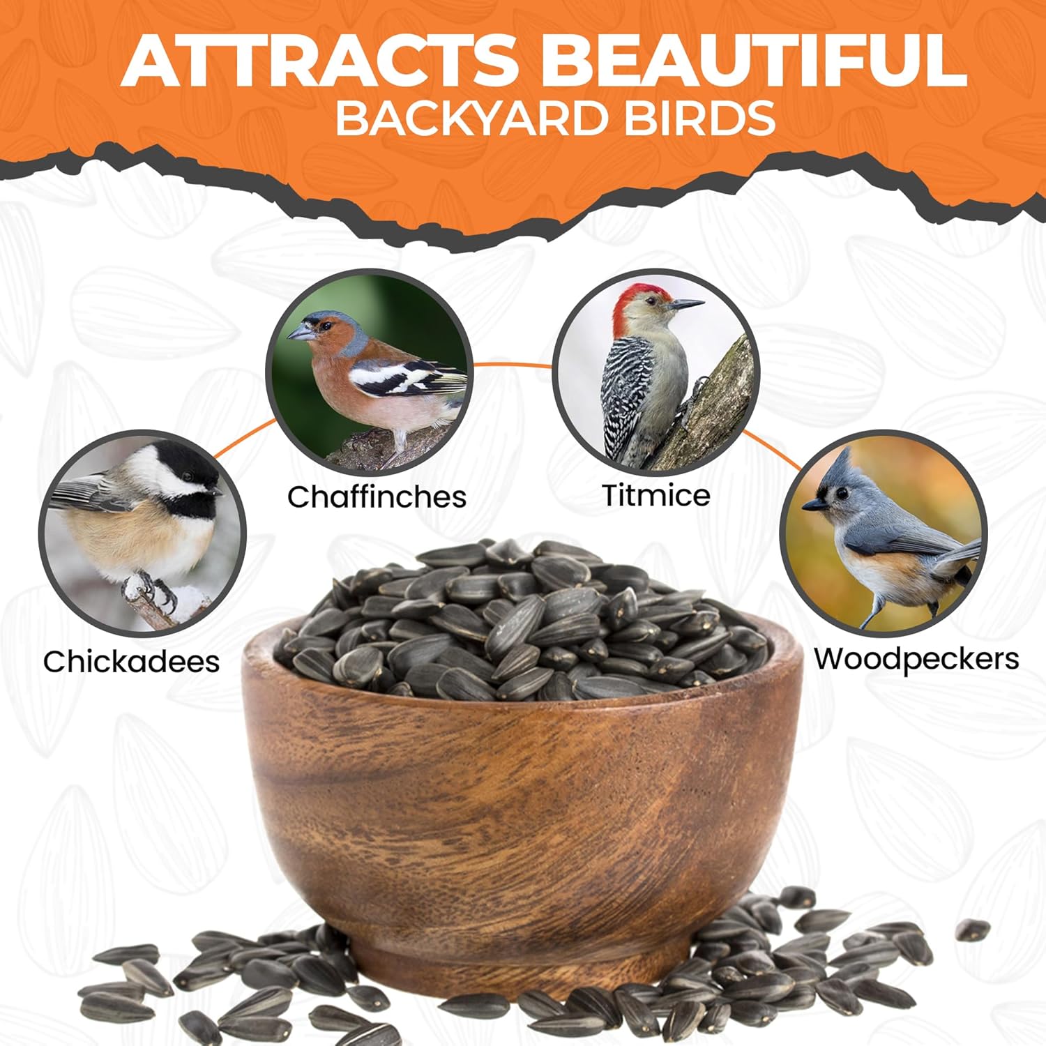 Direct Deals 123 High-Energy Black Sunflower Seeds for Wild Birds