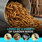 Direct Deals 123 High-Energy Calci Worms for Wild Birds