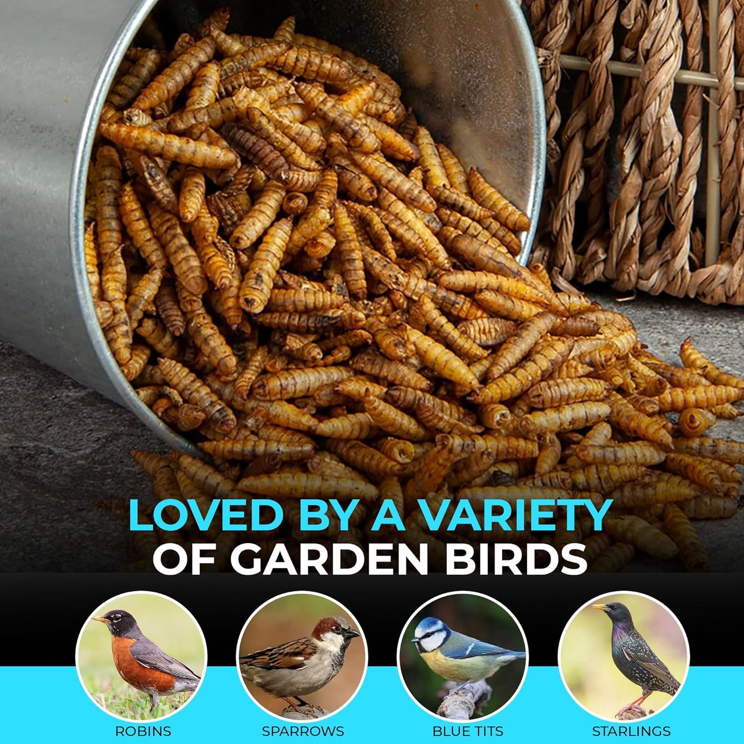 Direct Deals 123 High-Energy Calci Worms for Wild Birds