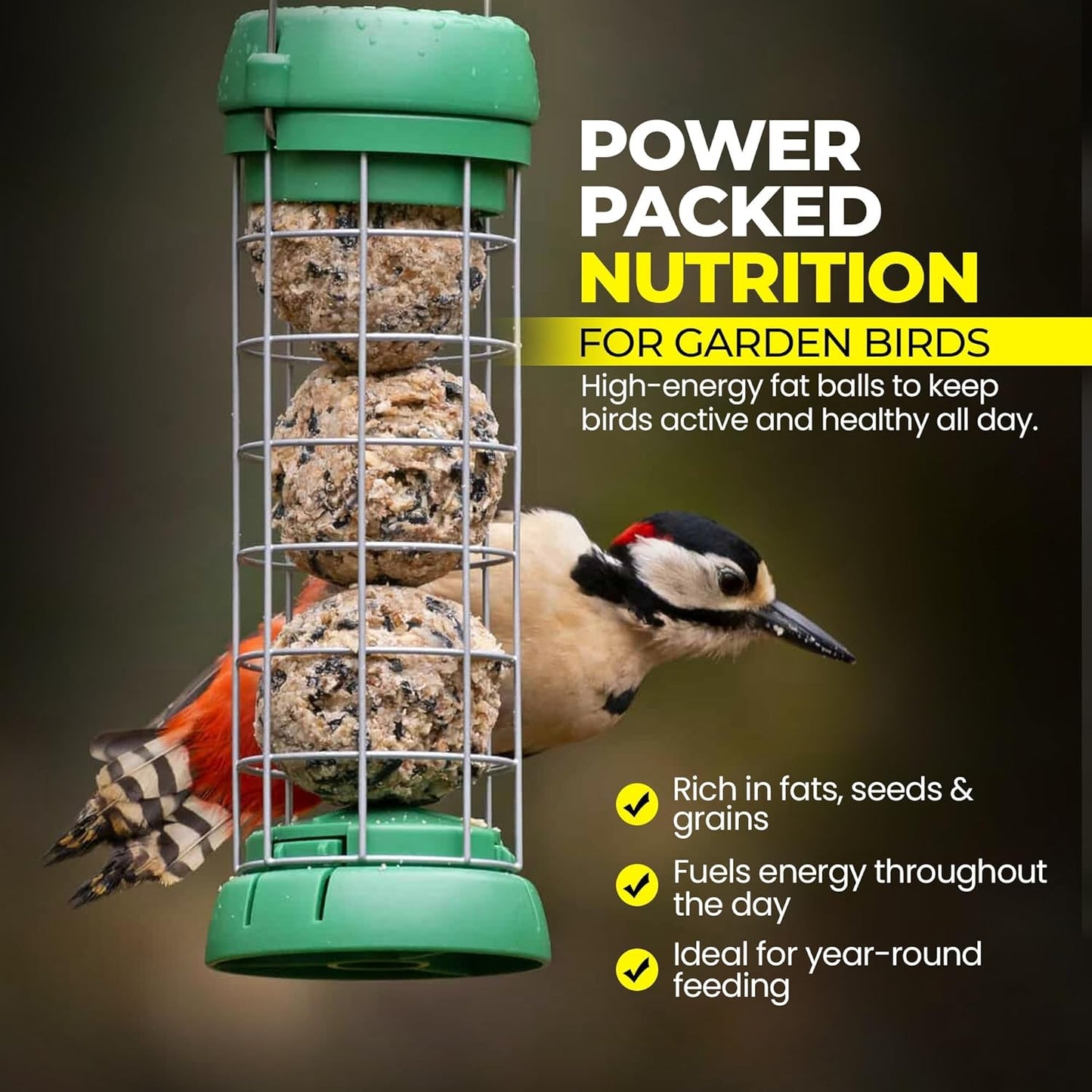 Direct Deals 123 High-Energy Fat Balls for Wild Birds