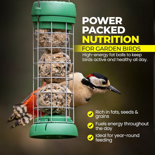 Direct Deals 123 High-Energy Fat Balls for Wild Birds