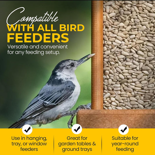 Direct Deals 123 High-Energy Sunflower Hearts for Wild Birds