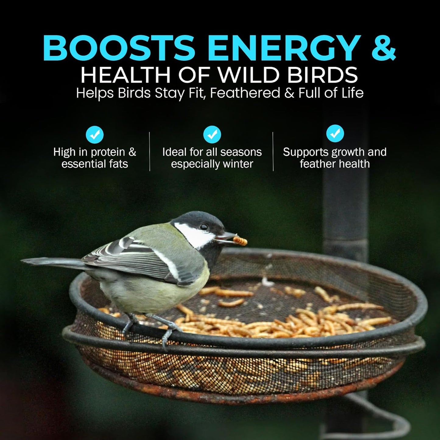 Direct Deals 123 High-Energy Calci Worms for Wild Birds