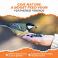 Direct Deals 123 High-Energy Black Sunflower Seeds for Wild Birds