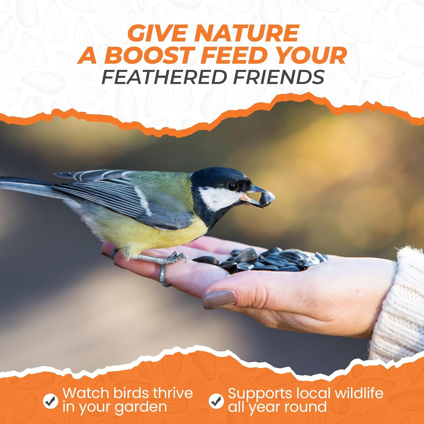 Direct Deals 123 High-Energy Black Sunflower Seeds for Wild Birds