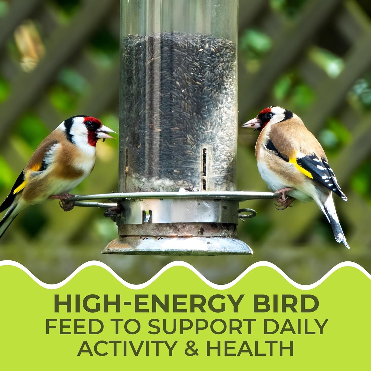 Direct Deals 123 High-Energy Niger Seeds for Wild Birds