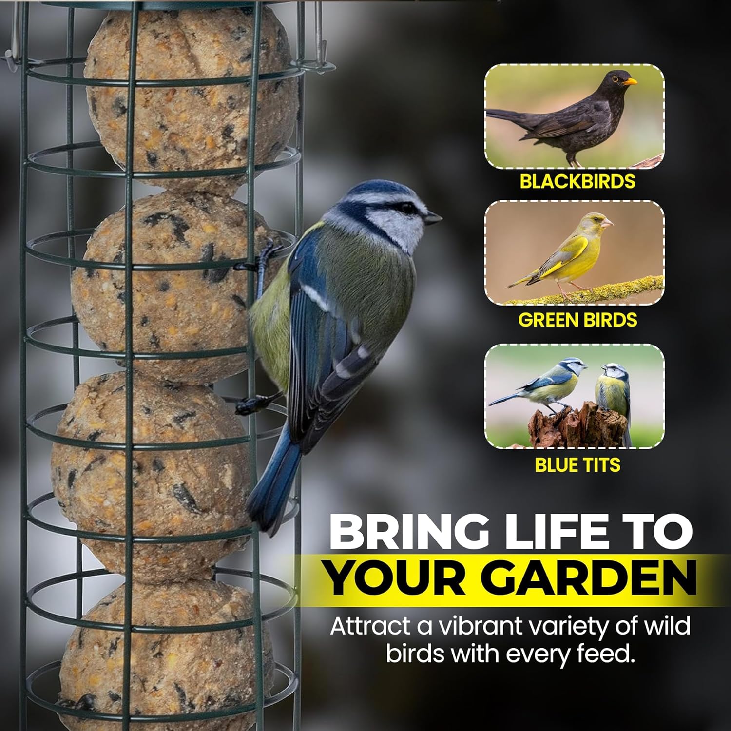 Direct Deals 123 High-Energy Fat Balls for Wild Birds