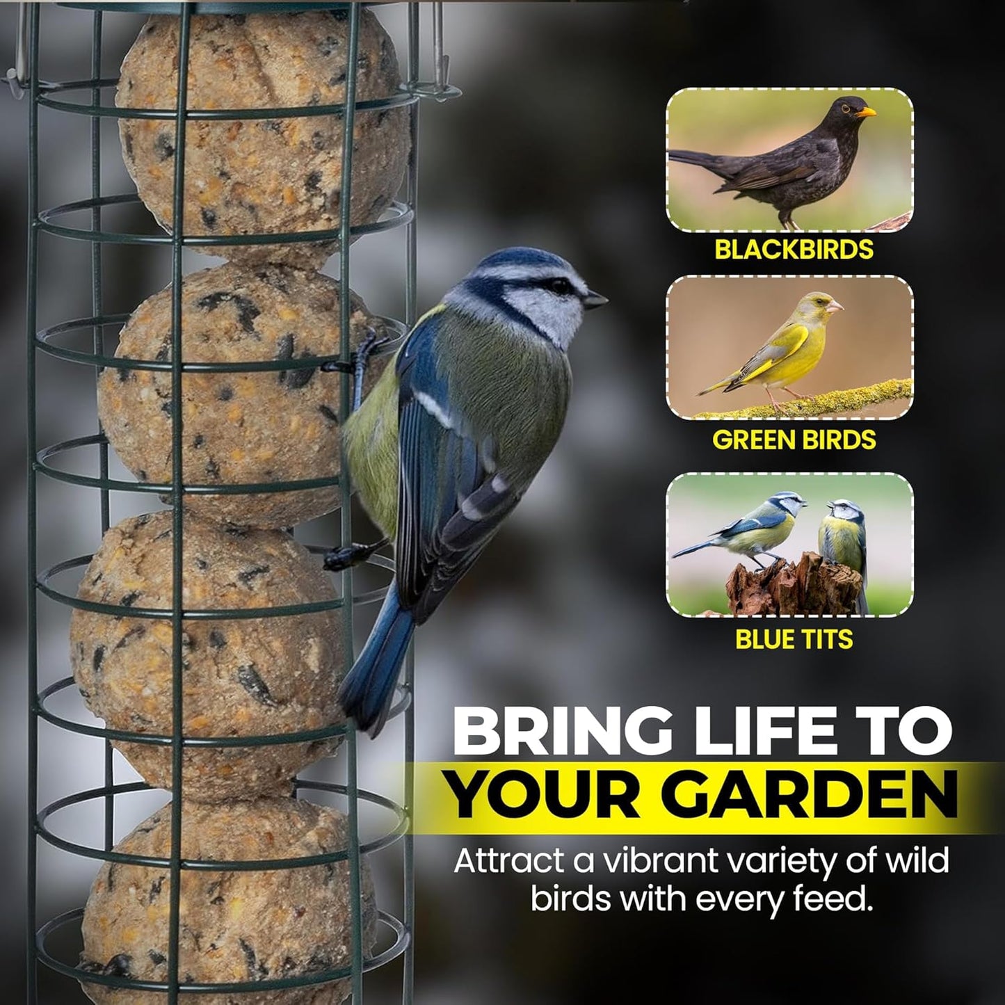 Direct Deals 123 High-Energy Fat Balls for Wild Birds