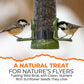 Direct Deals 123 High-Energy Black Sunflower Seeds for Wild Birds