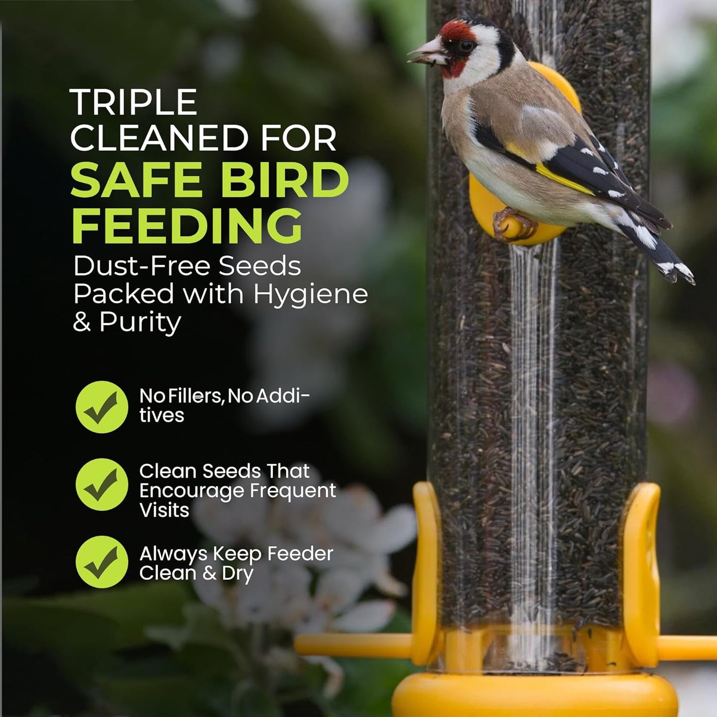 Direct Deals 123 High-Energy Niger Seeds for Wild Birds