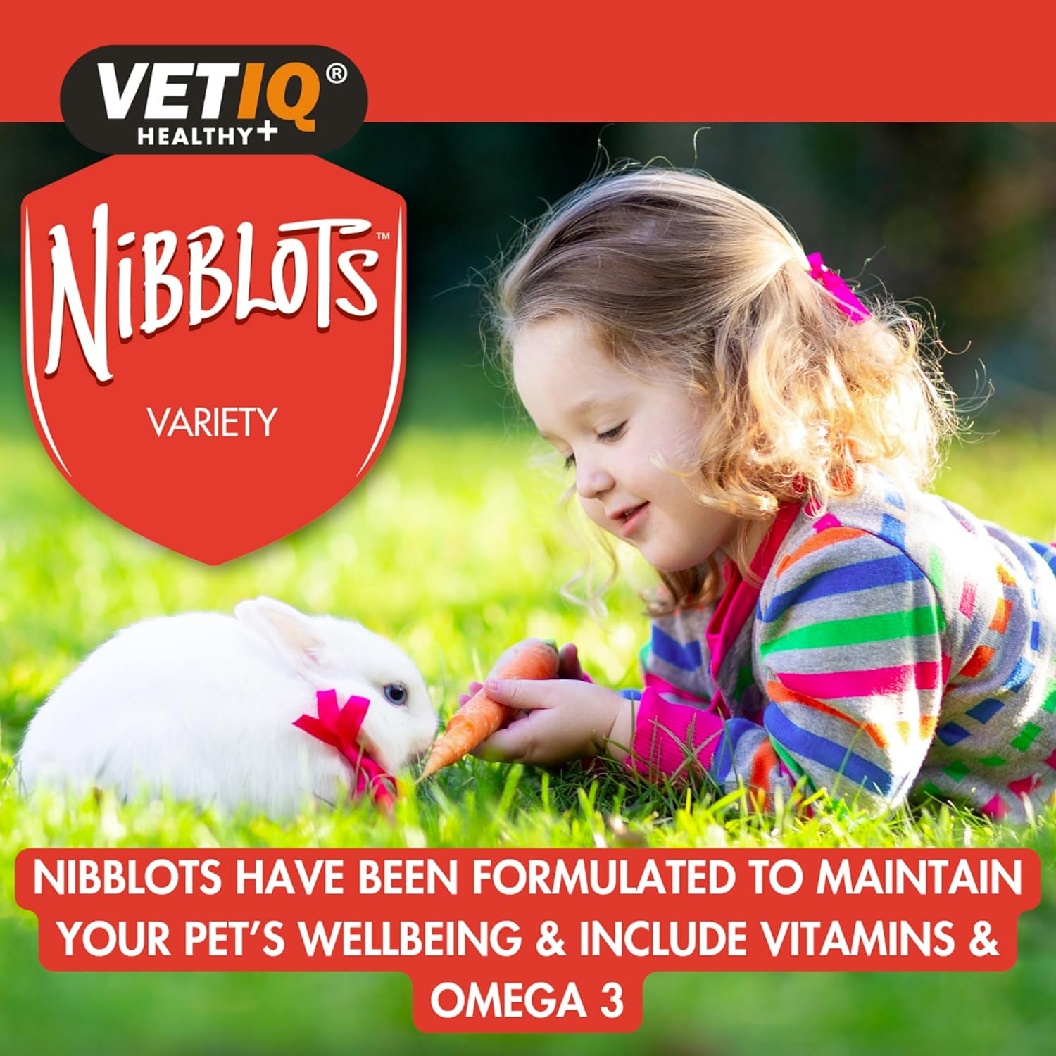 VETIQ Nibblots Treats Multi Pack with Added Vitamins in a Soft Chewy Centre for Small Animals, Suitable For Rabbits, Guinea Pigs & Hamsters, 30 g (Pack of 4)