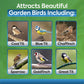 Direct Deals 123 High-Energy Mix Seeds for Wild Birds