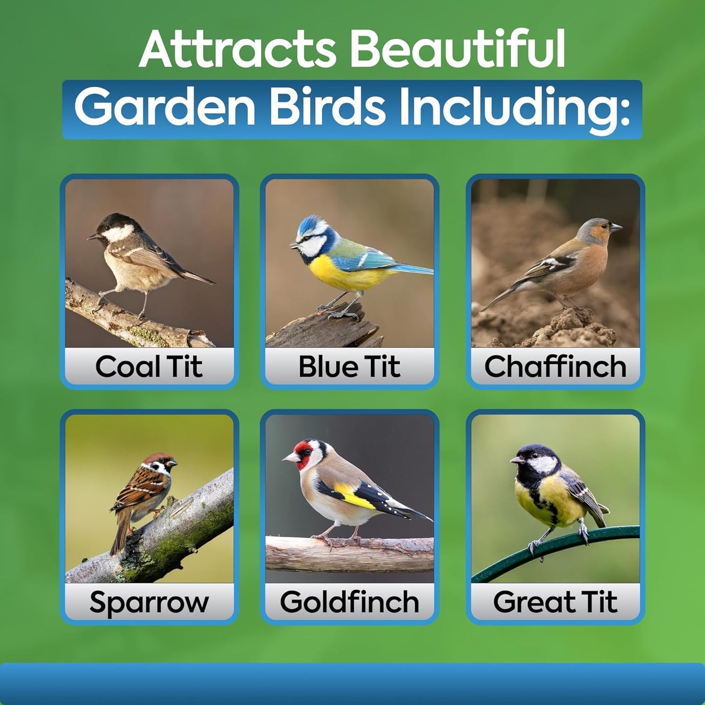 Direct Deals 123 High-Energy Mix Seeds for Wild Birds