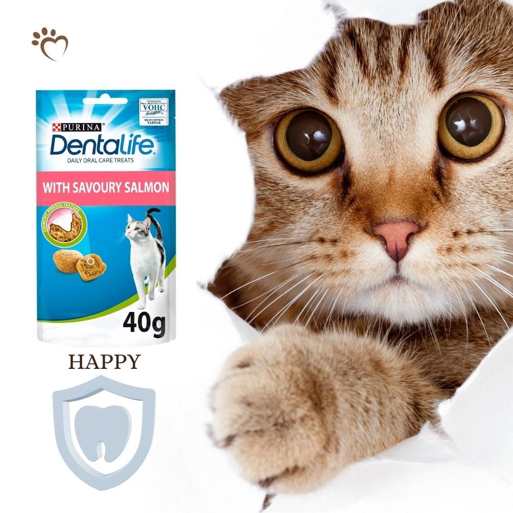 PURINA Dentalife Dental Treats for Cats | Bundle of 6 | Chicken 40g x 3 and Salmon 40g x 3