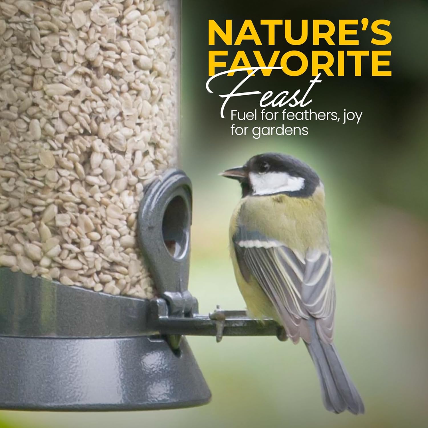 Direct Deals 123 High-Energy Sunflower Hearts for Wild Birds