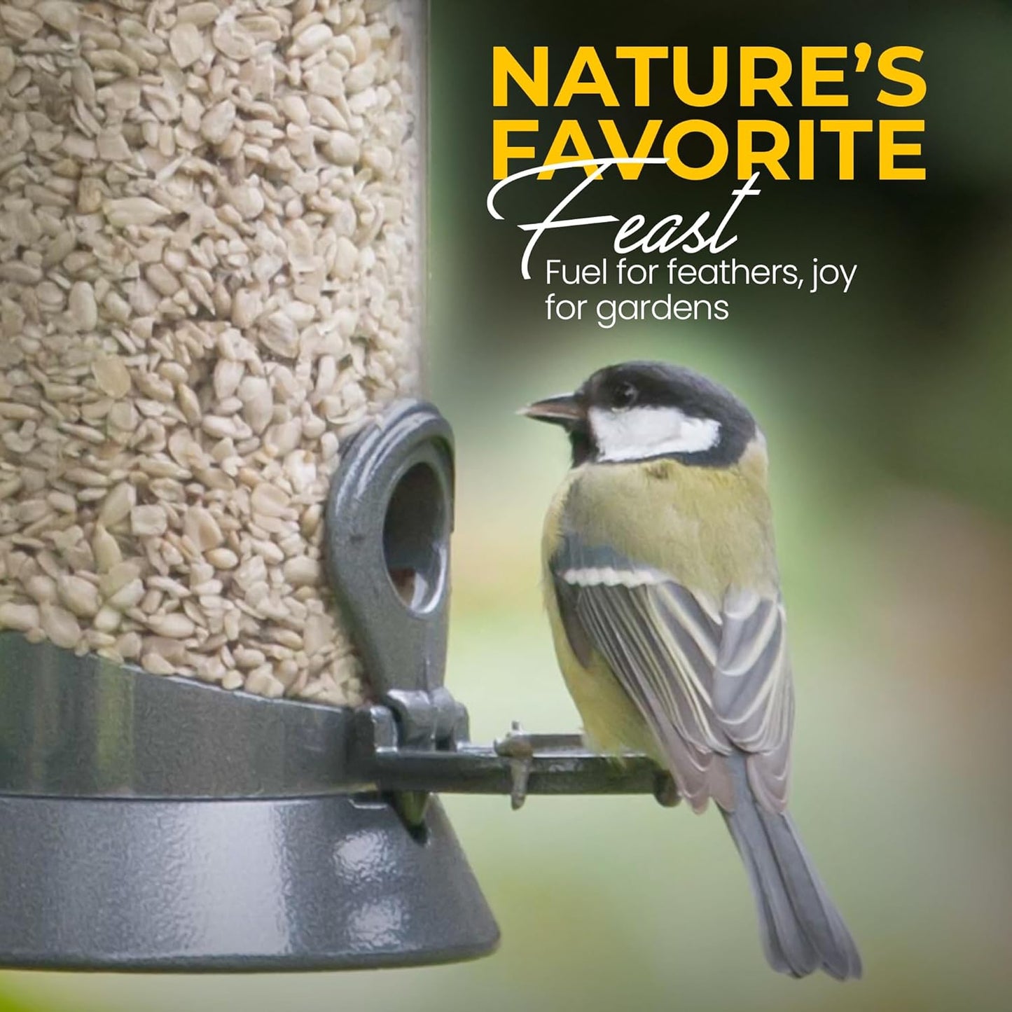 Direct Deals 123 High-Energy Sunflower Hearts for Wild Birds