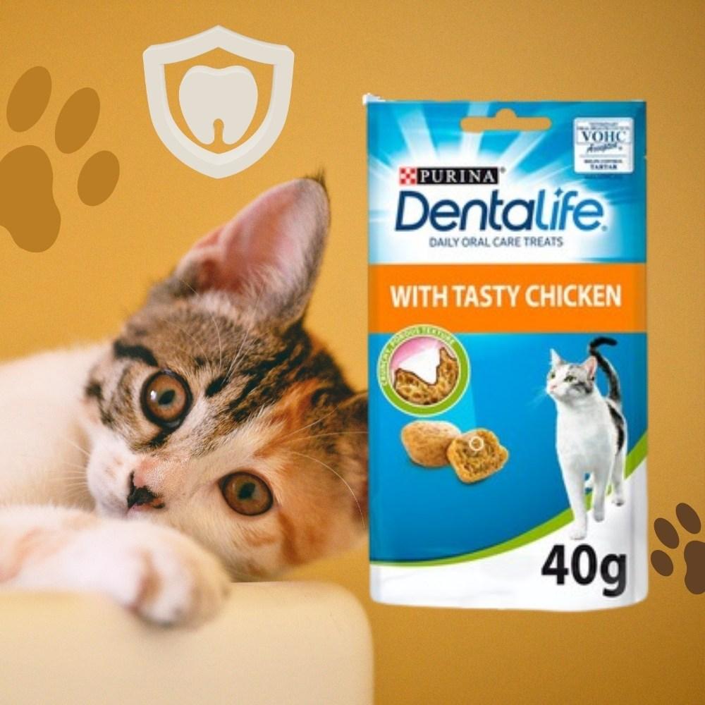 PURINA Dentalife Dental Treats for Cats | Bundle of 6 | Chicken 40g x 3 and Salmon 40g x 3
