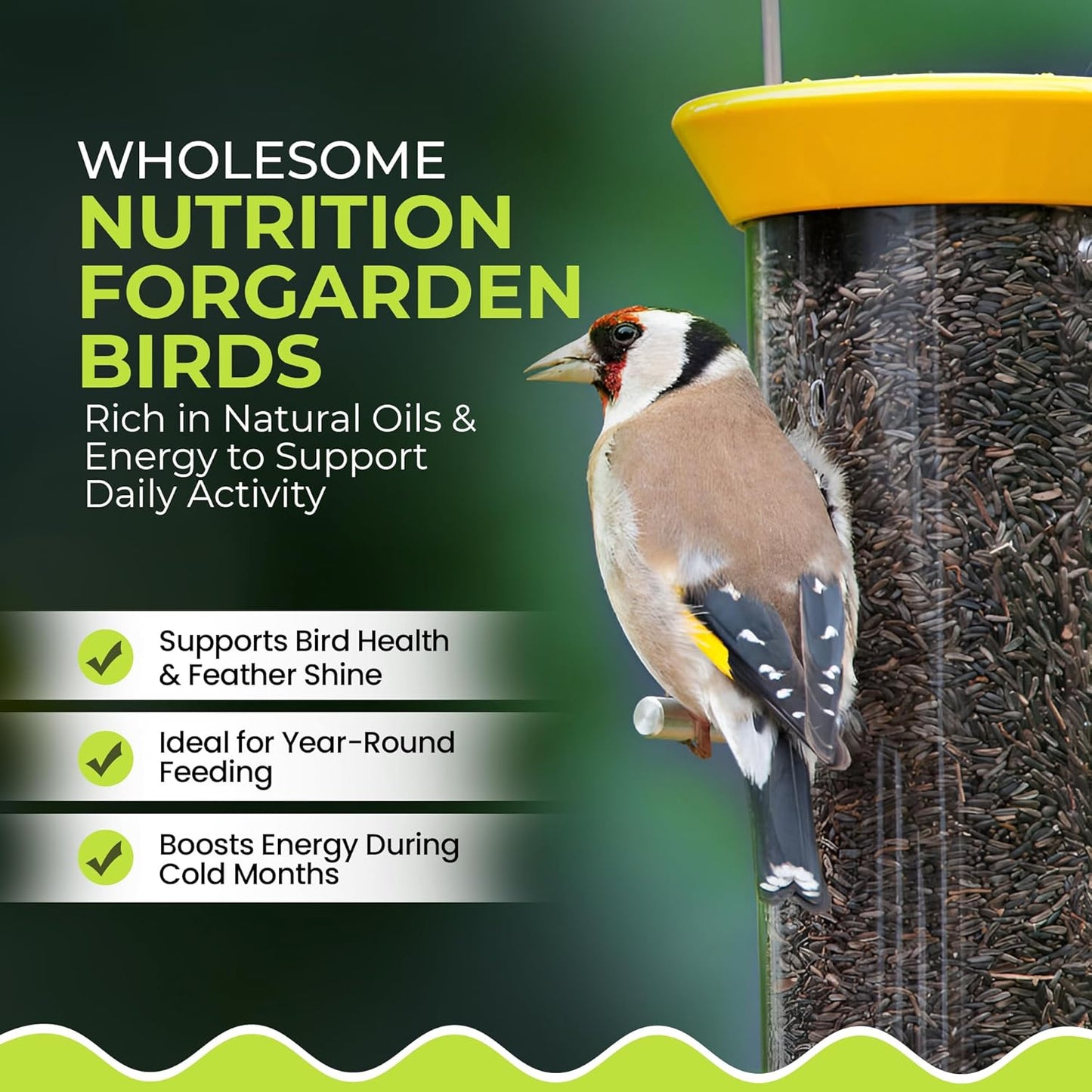 Direct Deals 123 High-Energy Niger Seeds for Wild Birds