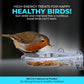Direct Deals 123 High-Energy Calci Worms for Wild Birds