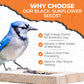 Direct Deals 123 High-Energy Black Sunflower Seeds for Wild Birds