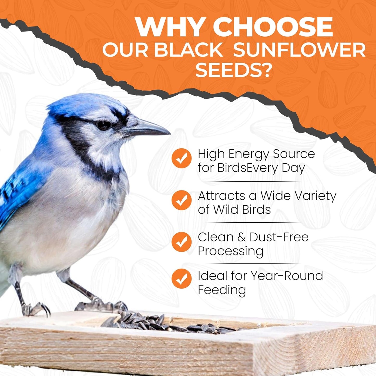 Direct Deals 123 High-Energy Black Sunflower Seeds for Wild Birds