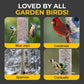 Direct Deals 123 High-Energy Sunflower Hearts for Wild Birds