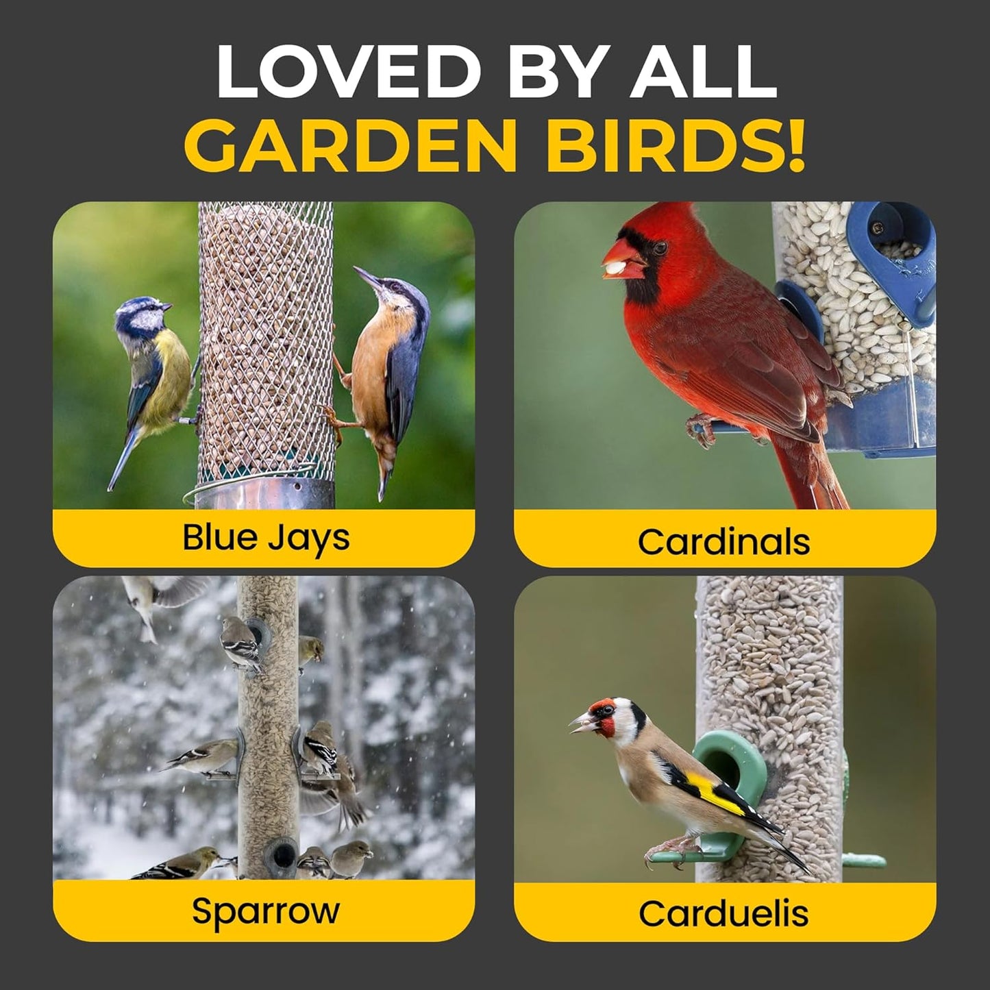 Direct Deals 123 High-Energy Sunflower Hearts for Wild Birds