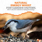 Direct Deals 123 High-Energy Black Sunflower Seeds for Wild Birds